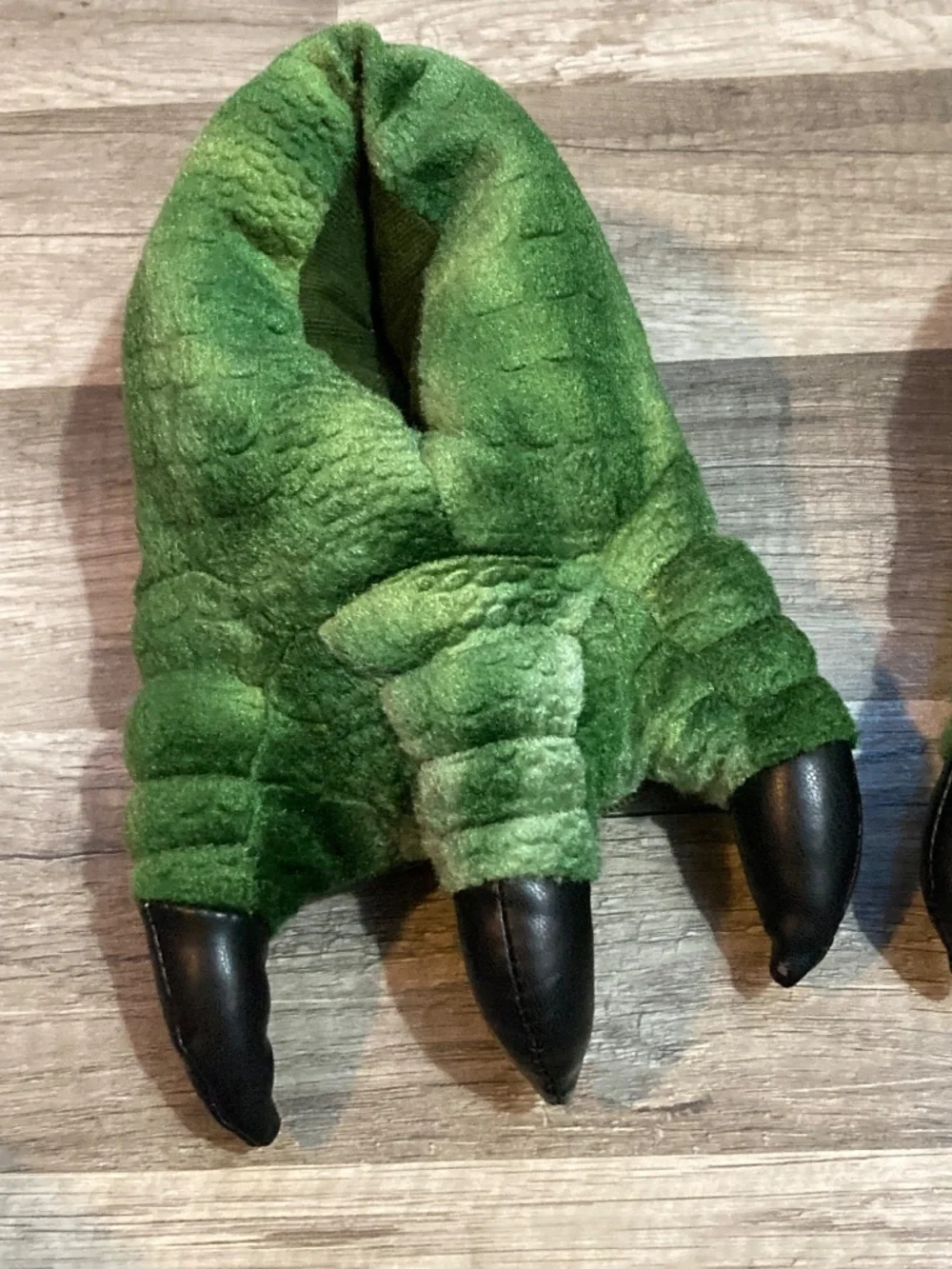 Dino slippers